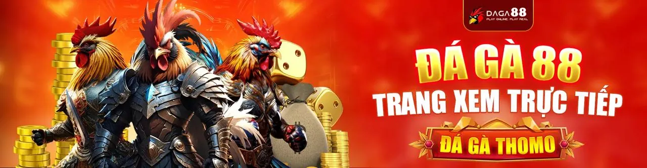 Đá Gà Trực Tiếp Hấp Dẫn trên Ứng dụng 18win Android